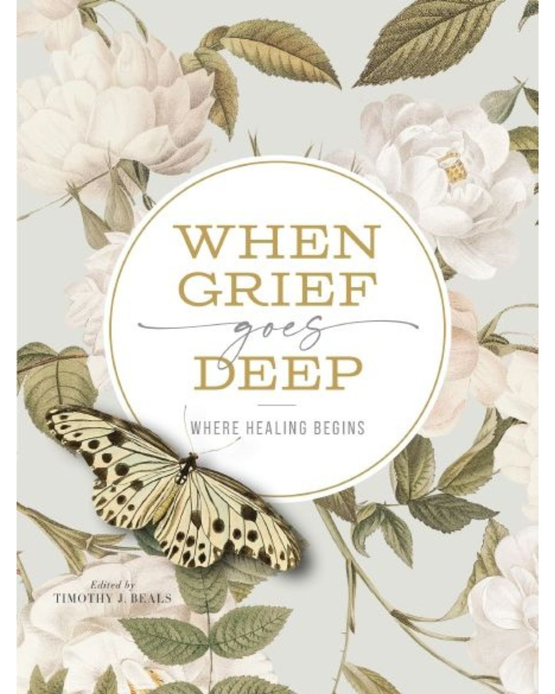 When Grief Goes Deep: Where Healing Begins By Timothy Beals