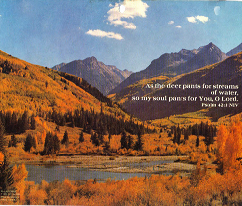 Bulletin Cover As The Deer Longs 100 Pack-845682