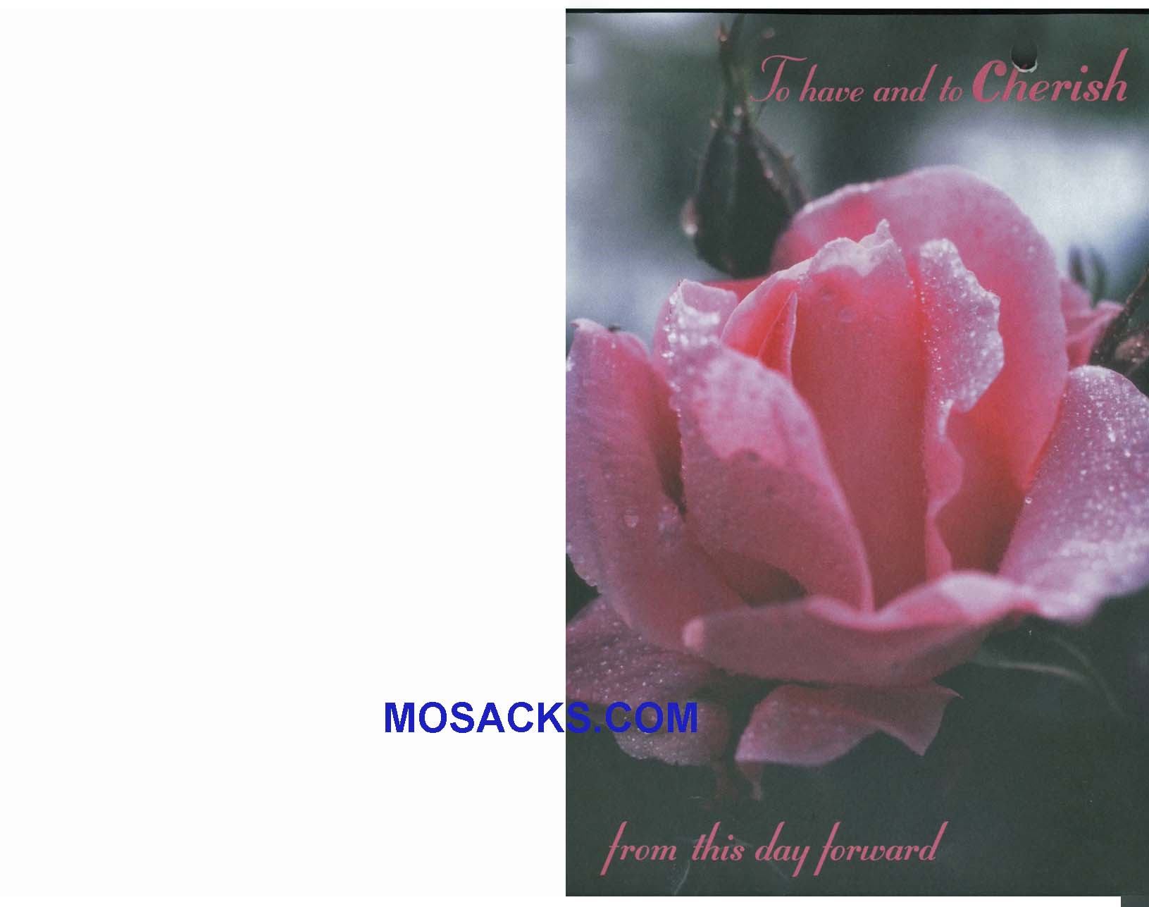 Bulletin Cover Cherish This Day Forward 100 Pack-A5802