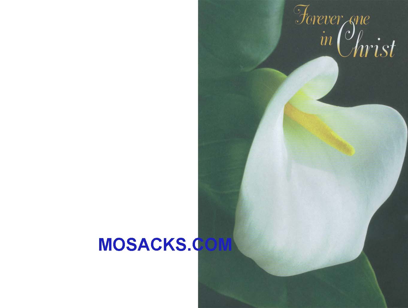 Bulletin Cover Forever One In Christ 100 Pack-A5776