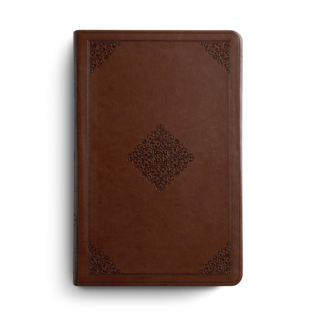 ESV Large Print Thinline Bible (Tan)
