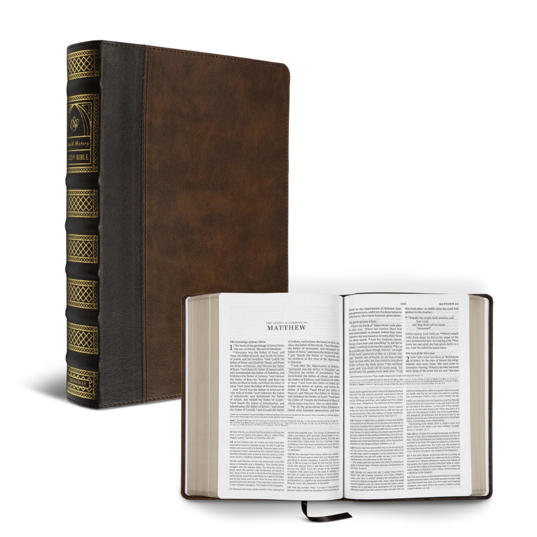 English Standard Version