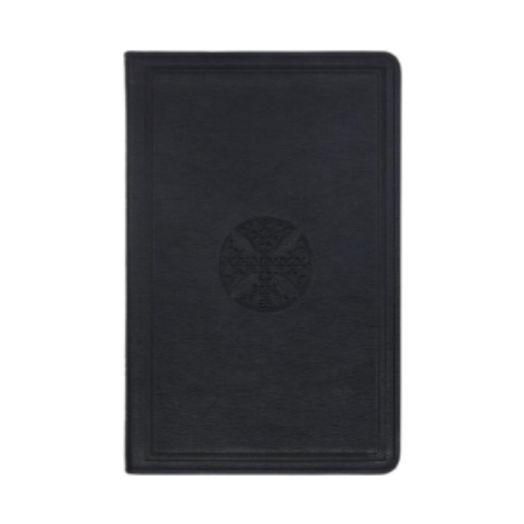 ESV Large Print Thinline Bible (Navy)
