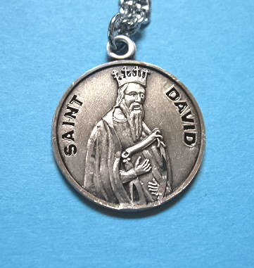St. David Sterling Silver Medal, 20" S Chain, S-9540-20S