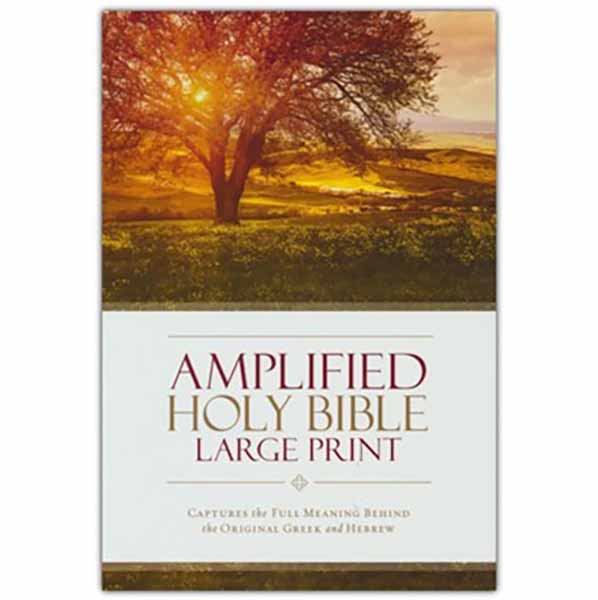 Amplified Bibles